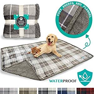 best material for dog blankets