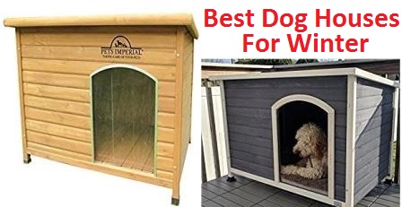 best dog houses for cold weather