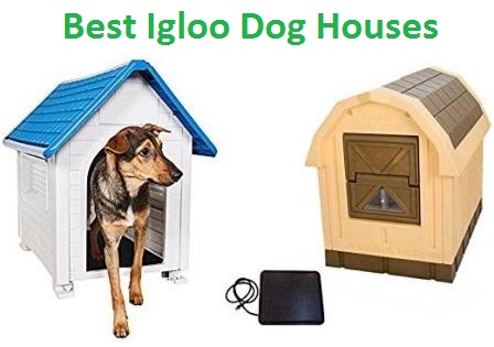 igloo type dog houses