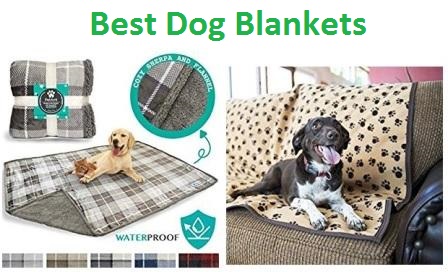 best material for dog blankets
