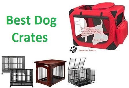 best dog crates 2018