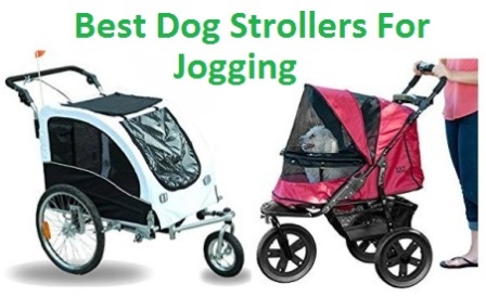best dog stroller for running