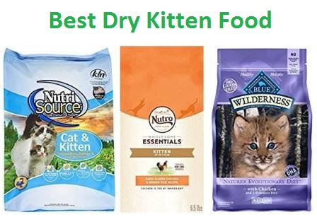 best kitten dry food