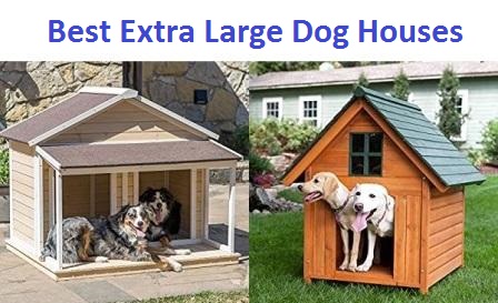 extra large dog houses with ac
