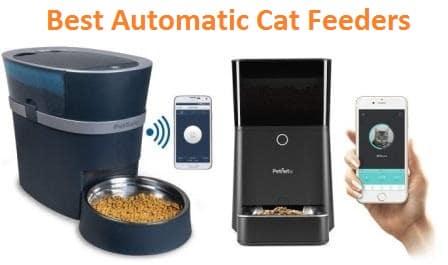 antblocker automatic cat feeder