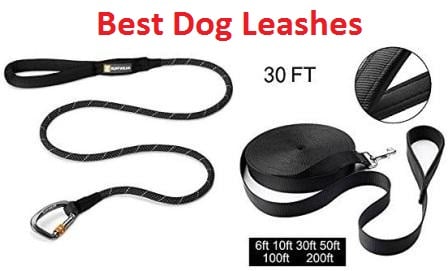 200 ft dog leash