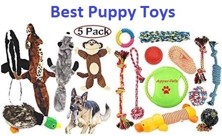 best puppy toys 2018
