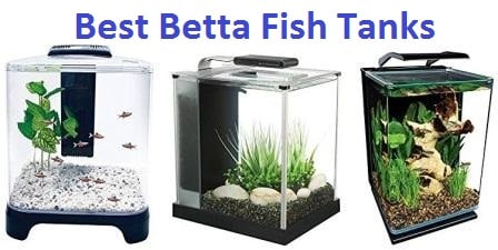 1 5 Gallon Fish Aquatic Pets Penn Plax Betta Fish Tank Aquarium