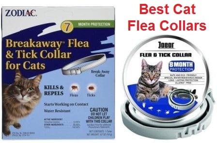 TUZZE Flea and Tick Collar for Cats Upgrade Version 8 Months Continuous Flea Protection for Cats Adjustable and Waterproof Cat Flea and Tick Control 