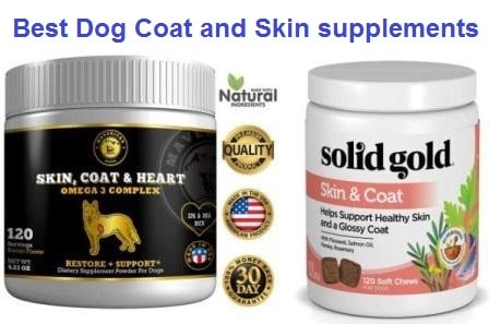 Best Dog Coat and Skin supplements 