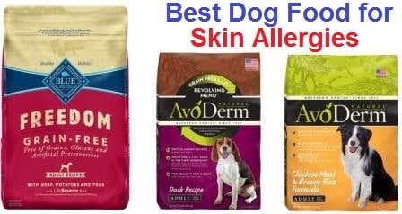 best dog food for skin allergies 2018