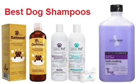top rated dog shampoo
