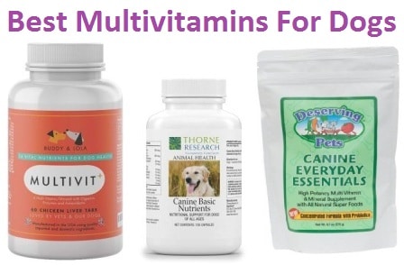 good multivitamin for dogs