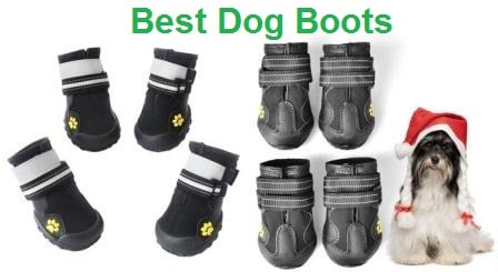 best rated dog boots
