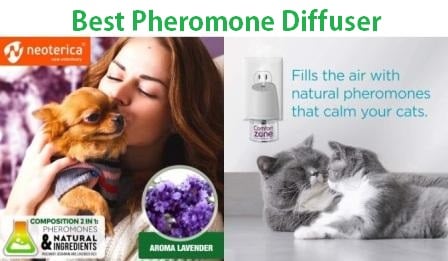 best pheromone diffuser for cats