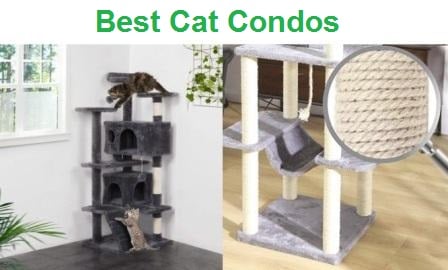 Cat Condo instal the last version for android