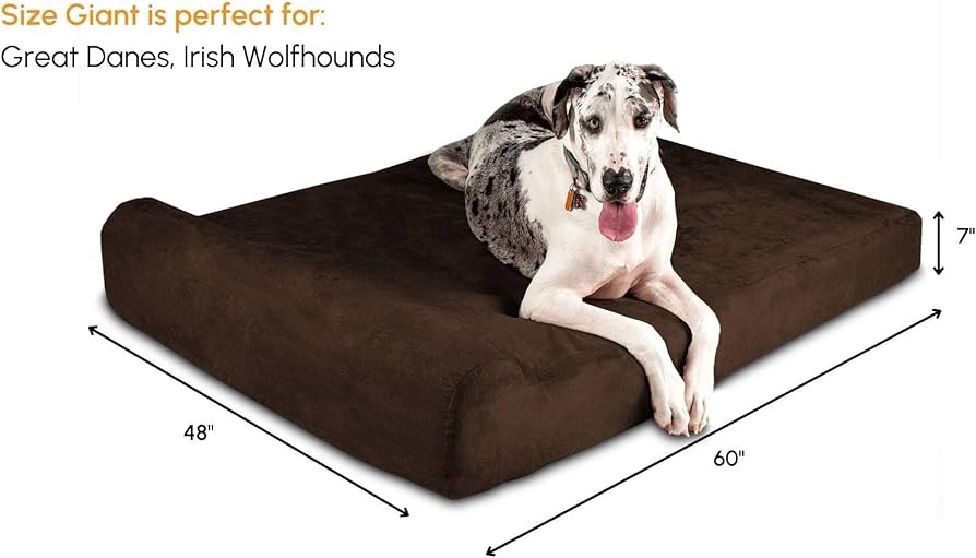 Best Dog Bed for Senior Dogs With Arthritis 2026 1 Big Barker 7 Inch Orthopedic Dog Bed