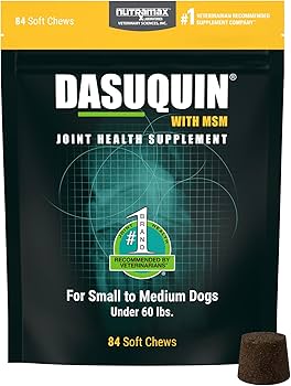 Dasuquin with MSM Small to Medium Dogs
