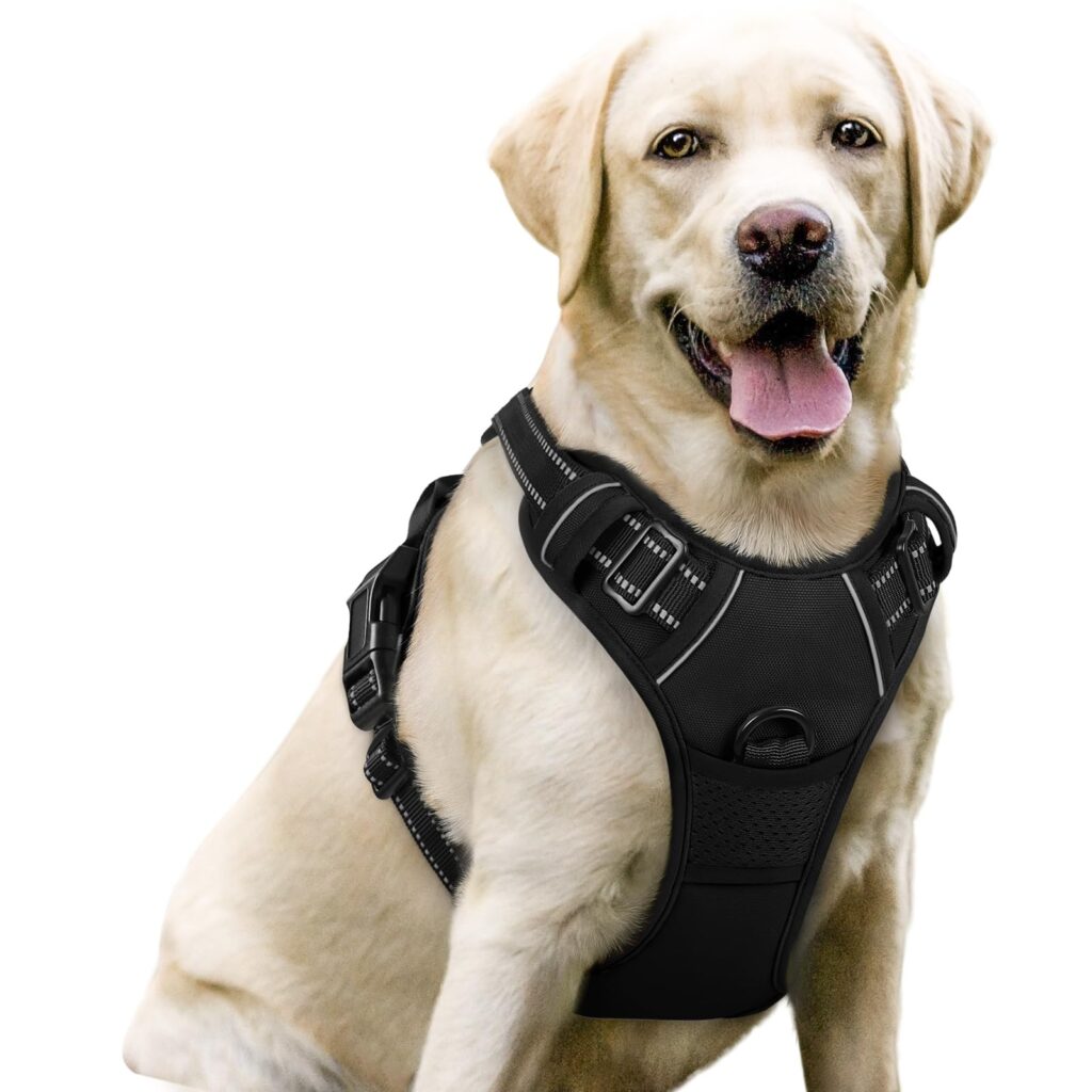 Rabbitgoo No Pull Dog Harness
