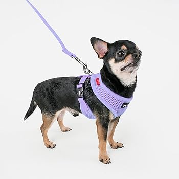 Puppia Soft Dog Harness
