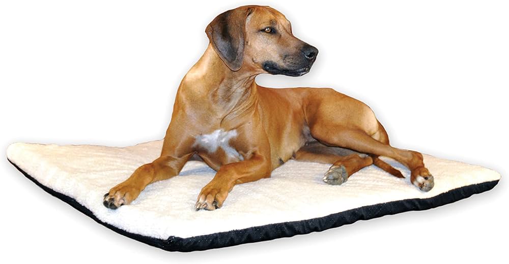 Best Dog Bed for Senior Dogs With Arthritis 2026 5 K&H Pet Products Thermo-Ortho Bed