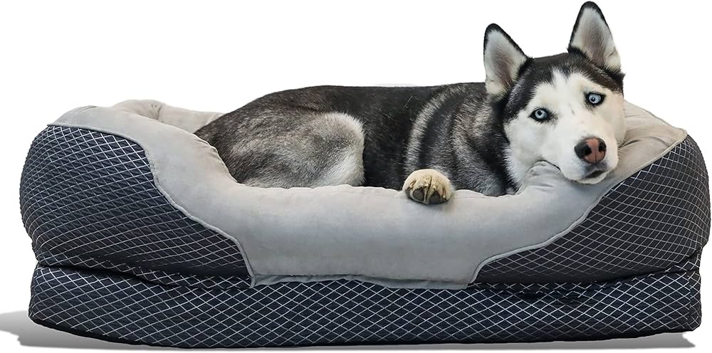 Best Dog Bed for Senior Dogs With Arthritis 2026 3 BarksBar Gray Orthopedic Dog Bed
